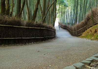 Bamboo Grove Path