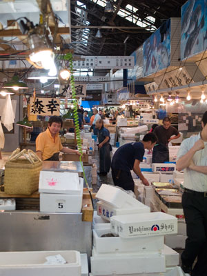 Tsujiki Fish Market - Worlds Biggest Fish Market