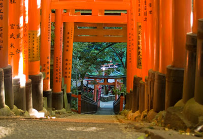 Red Gates at Fushimi-Inari Taisha