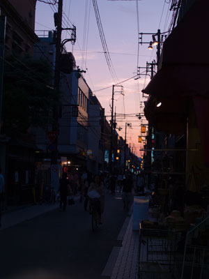Beautiful Evening in Kyoto